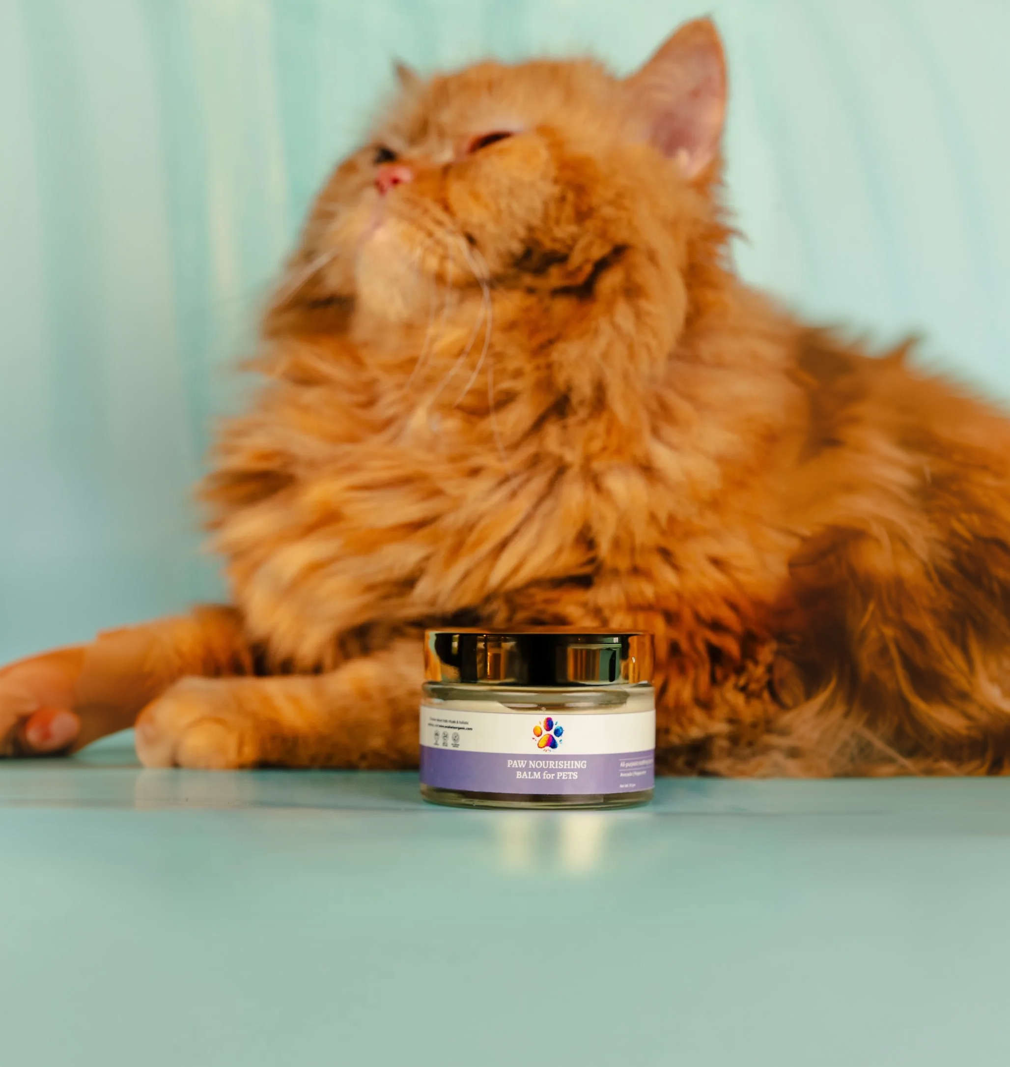 Pet care products