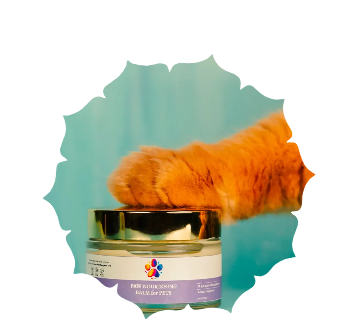 Pet care natural ingredients