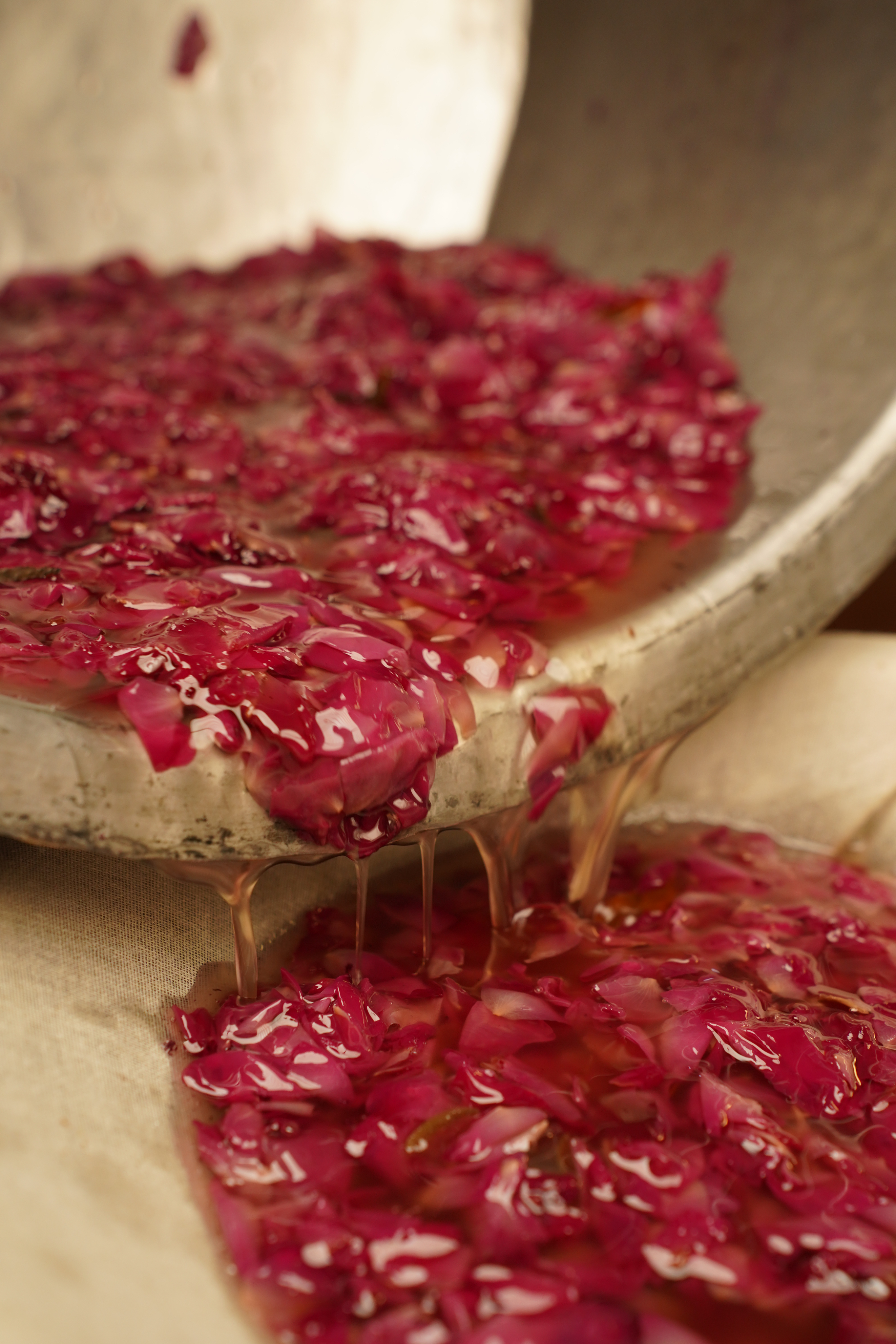 Traditional Preparation — Ayurvedic manufacturing