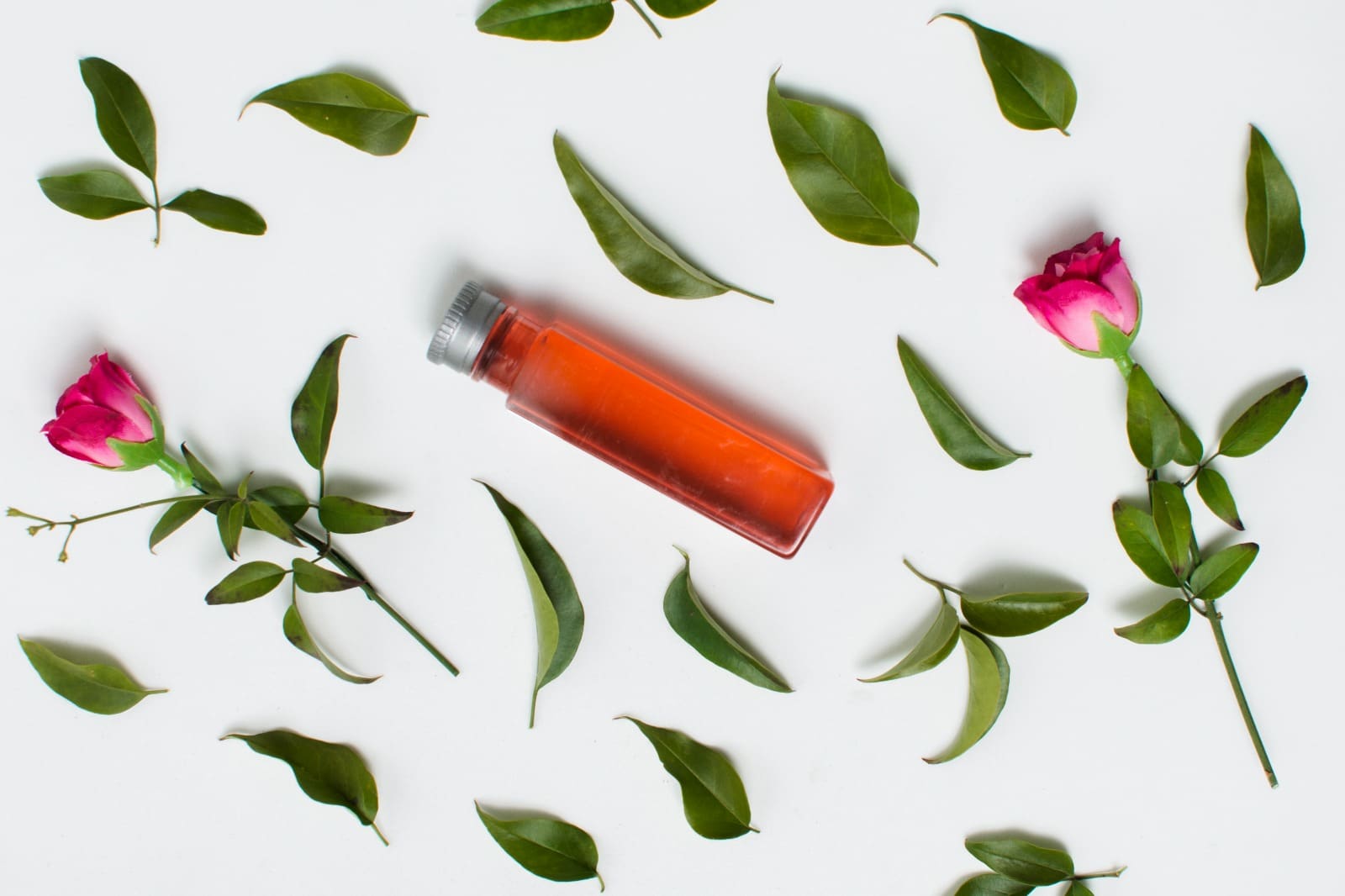 Rose Hydrosol Vs Rose Water